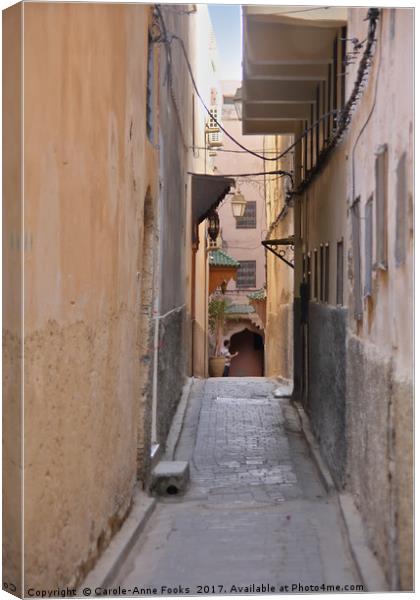 In the Medina, Fes Canvas Print by Carole-Anne Fooks