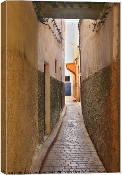 In the Medina, Fes Canvas Print by Carole-Anne Fooks