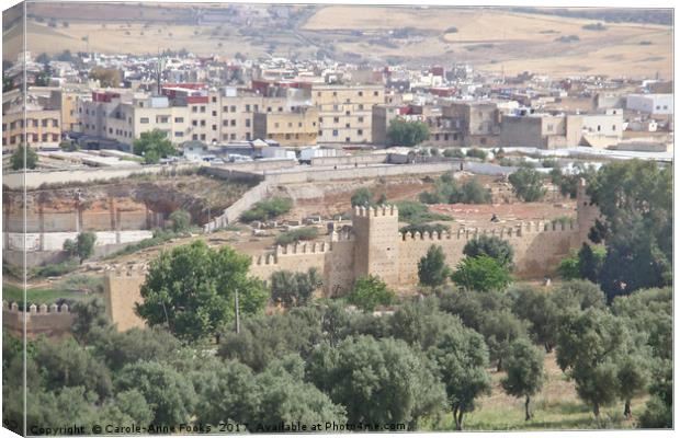 Medina of Fes Canvas Print by Carole-Anne Fooks