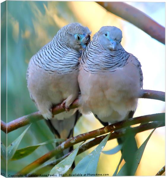 Pair of Peaceful Doves Canvas Print by Carole-Anne Fooks