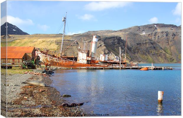 South Georgia in the Southern Atlantic Canvas Print by Carole-Anne Fooks