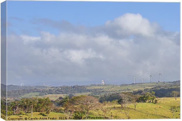 Costa Rican Countryside  Canvas Print by Carole-Anne Fooks