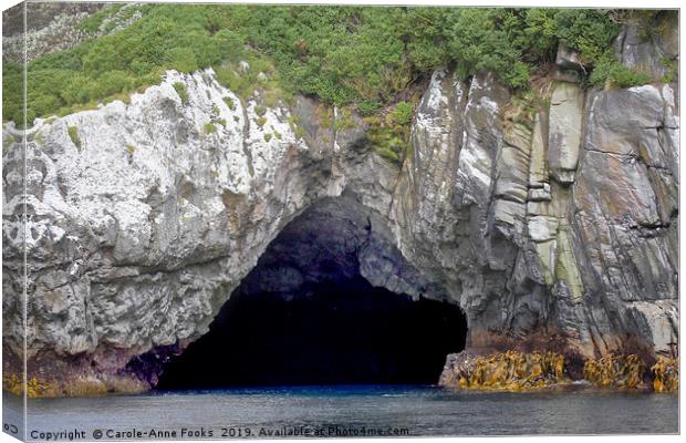 The Snares Sea Cave Canvas Print by Carole-Anne Fooks