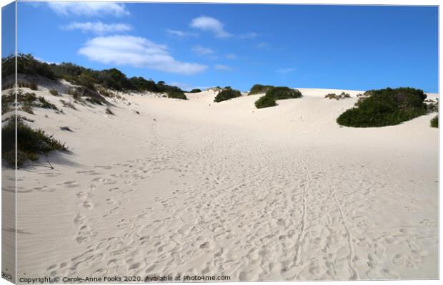 Little Sahara Canvas Print by Carole-Anne Fooks