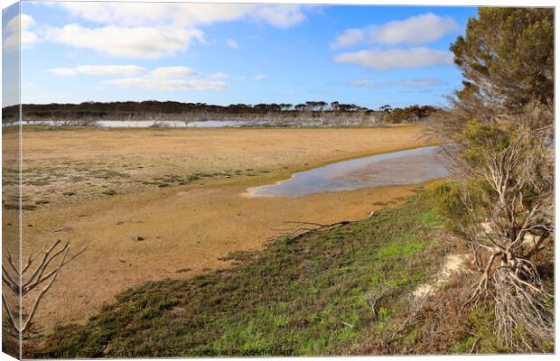 Murray Lagoon  Canvas Print by Carole-Anne Fooks