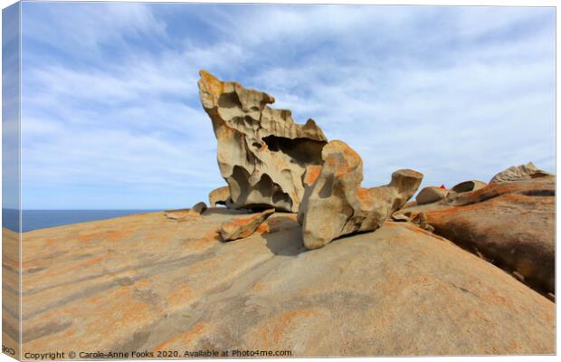 Remarkable Rocks Canvas Print by Carole-Anne Fooks