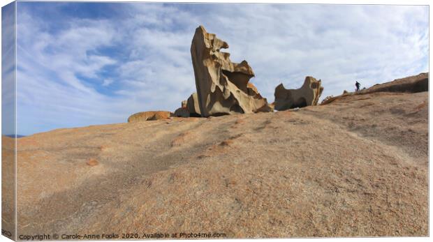 Remarkable Rocks Canvas Print by Carole-Anne Fooks