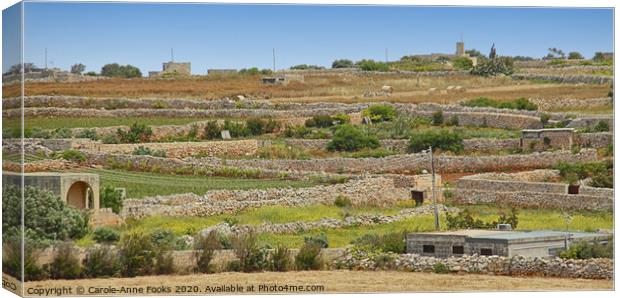 Agricultural Terraces, Malta. Canvas Print by Carole-Anne Fooks