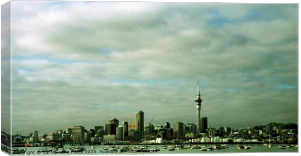 Auckland, New Zealand Canvas Print by Carole-Anne Fooks