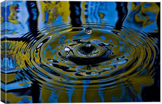 Colourful Droplet Canvas Print by Chris Andrew