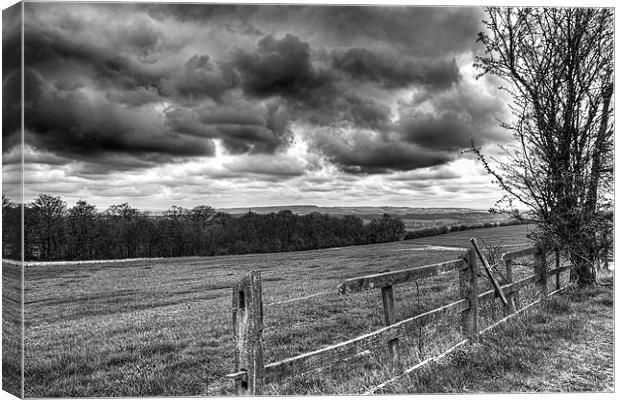 Foreboding Sky Canvas Print by Chris Andrew
