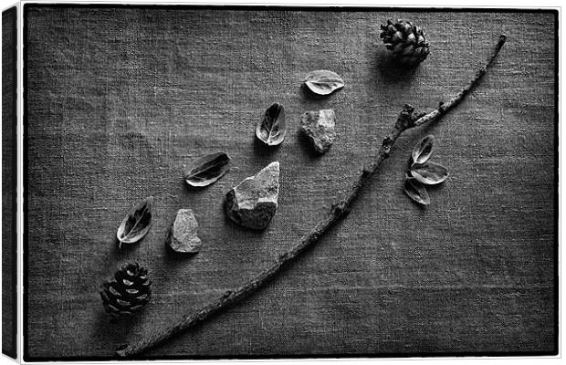 Twigs Still Life Canvas Print by Chris Andrew