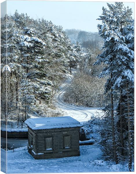 Snowy Scene Scout Dike Canvas Print by Chris Andrew