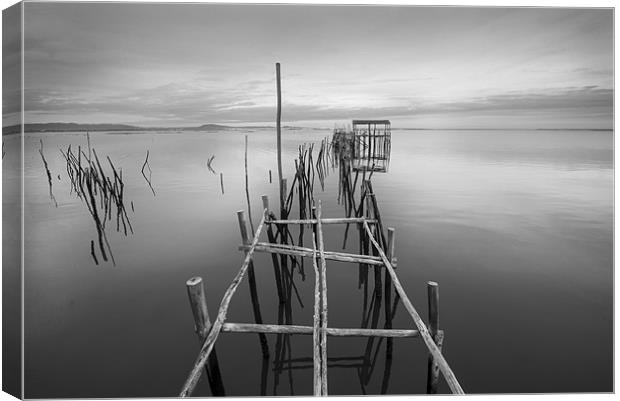 Sticks and Posts Canvas Print by Dave Wragg