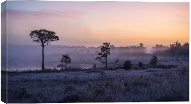Morning mist Canvas Print by Dave Wragg