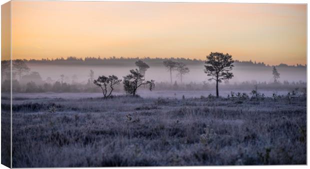 Frost and fog Canvas Print by Dave Wragg