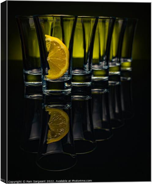 Shot glasses Canvas Print by Pam Sargeant