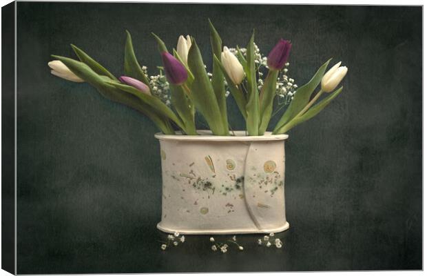 Tulips still life Canvas Print by Pam Sargeant