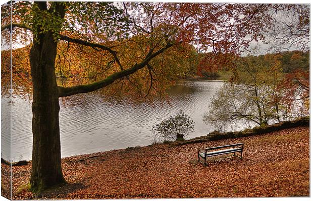 Knypersley Autumn View Canvas Print by Pam Sargeant