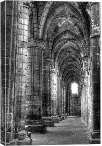 Kirkstall Abbey 3 Canvas Print by Andrew Holland