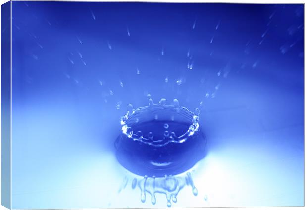 Blue Water Drop Canvas Print by Andrew Holland