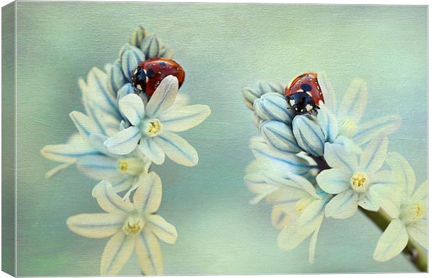 Ladybirds Canvas Print by Ellen van Deelen