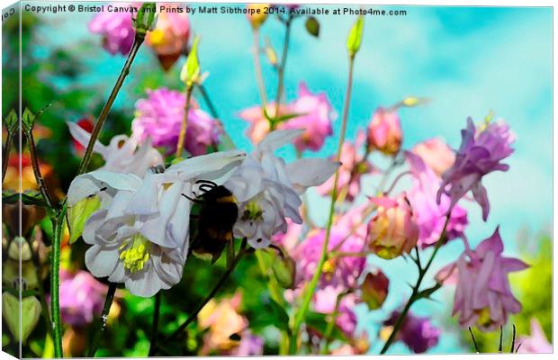 Honey for the Bee Canvas Print by Bristol Canvas by Matt Sibtho