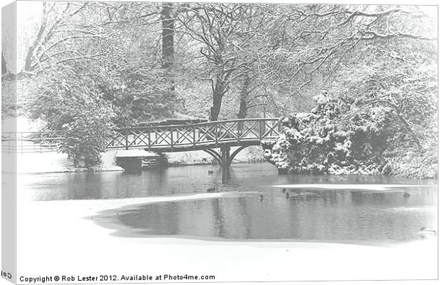 Winter in the Park Canvas Print by Rob Lester