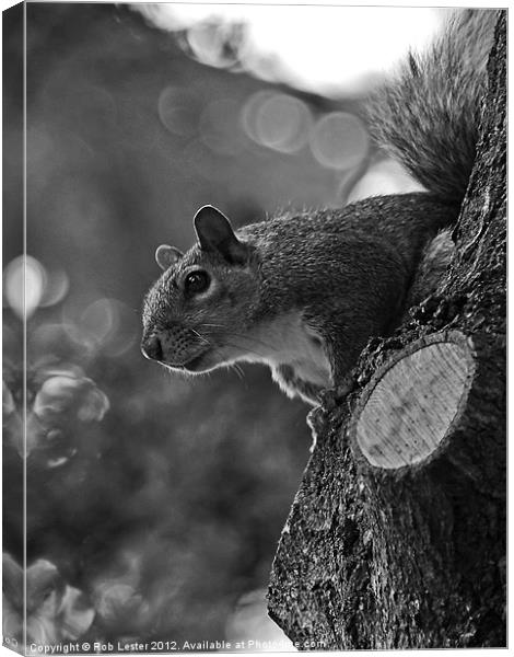 Tree hugger Canvas Print by Rob Lester