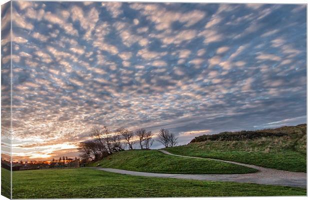 Mackerel Sky in the Park Canvas Print by Rob Lester