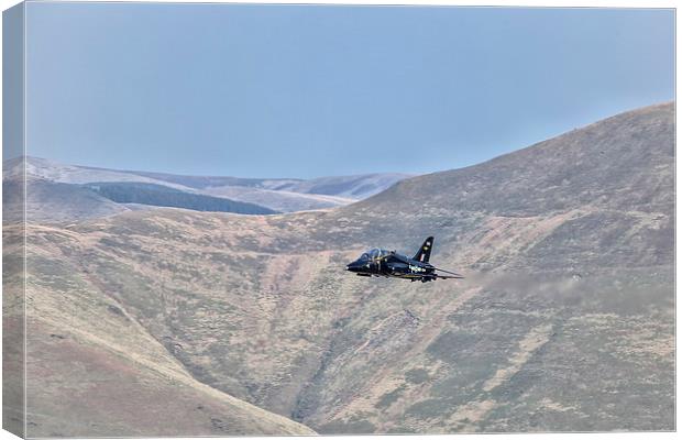  A Hawk in Flight Canvas Print by Rob Lester