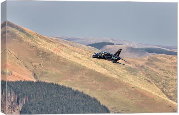  A Hawk flies over Wales Canvas Print by Rob Lester