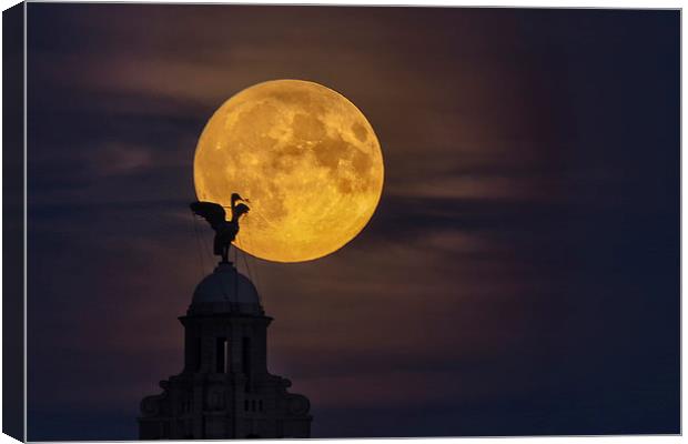  Liverpool super moon Canvas Print by Rob Lester