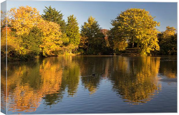  Autumn Reflections Canvas Print by Rob Lester