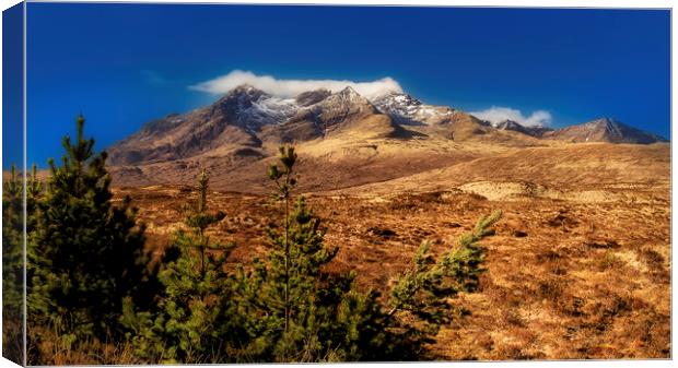 Skye,  Land of Giants Canvas Print by Rob Lester
