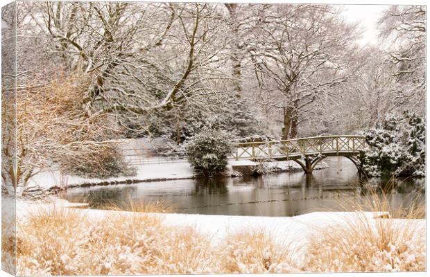 A bridge in the snow at Birkenhead park Canvas Print by Rob Lester