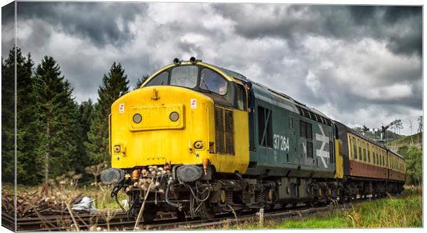 Class 37 diesel loco 37264,  Canvas Print by Rob Lester