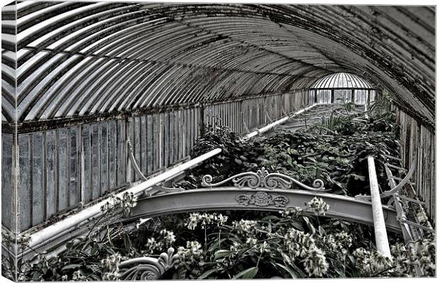 Spring Greenhouse Canvas Print by Andrew Rickinson