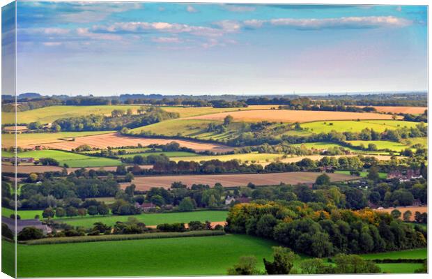 South Downs Beacon Hill Hampshire England Canvas Print by Andy Evans Photos