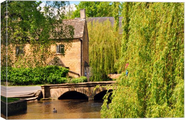 Bourton on the Water River Windrush Cotswolds Gloucestershire Canvas Print by Andy Evans Photos