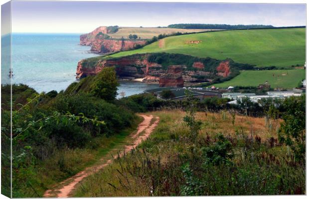 Ladram Bay Jurassic Coast Devon England Canvas Print by Andy Evans Photos