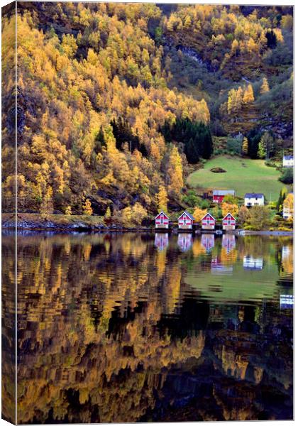 Autumn Trees Flam Aurlandsfjord Norway Canvas Print by Andy Evans Photos