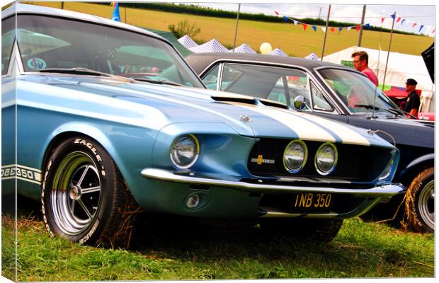 Ford Mustang Shelby GT 350 Canvas Print by Andy Evans Photos