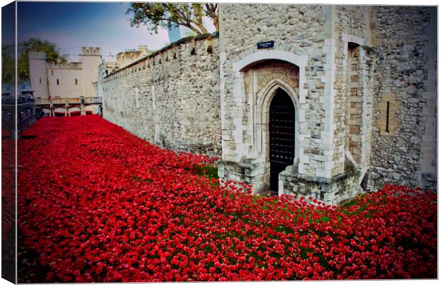 Tower of London Red Poppies England UK Canvas Print by Andy Evans Photos