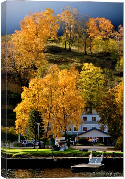 Autumn Trees Flam Aurlandsfjord Norway Canvas Print by Andy Evans Photos