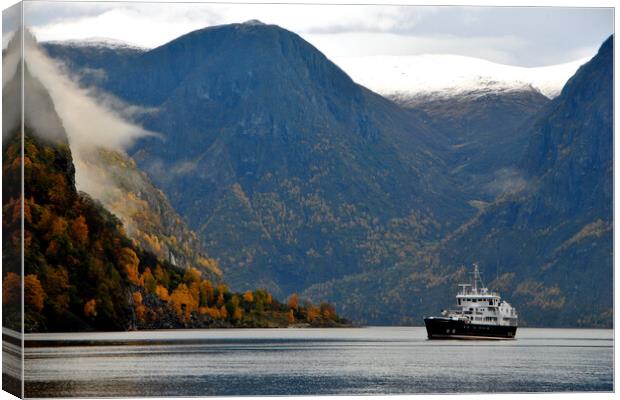 Aurlandsfjord Flam Norwegian Fjord Norway Canvas Print by Andy Evans Photos