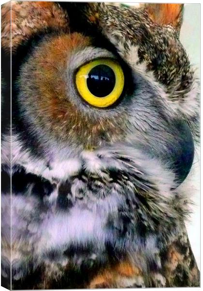 Great Horned Owl Bird Of Prey Canvas Print by Andy Evans Photos