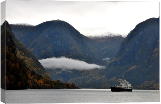 Aurlandsfjord Flam Norwegian Fjord Norway Canvas Print by Andy Evans Photos