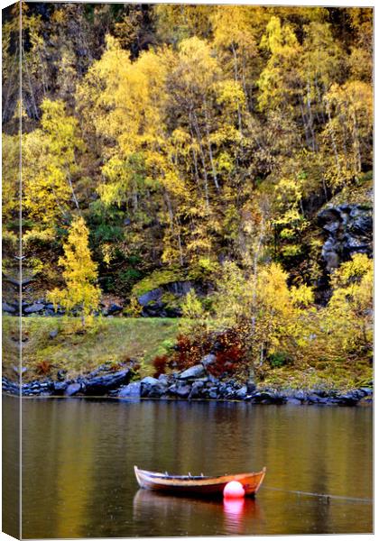 Serene Autumnal Scene at Flam Aurlandsfjord Norweg Canvas Print by Andy Evans Photos