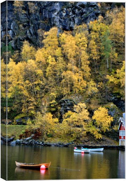 Flam Aurlandsfjord Norwegian Fjord Norway Canvas Print by Andy Evans Photos